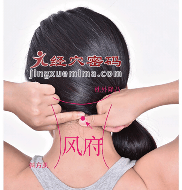 風府穴：督脈之氣在此吸濕化風:吸風罩
