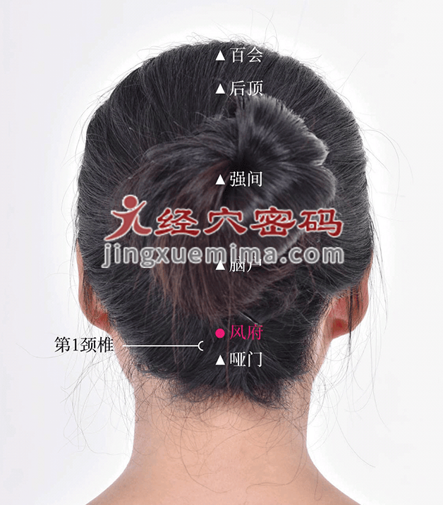 風府穴：督脈之氣在此吸濕化風:吸風罩